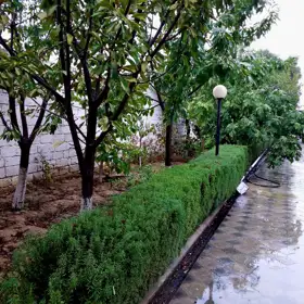 In Baku 264.0 m² house with 5.0 rooms is for sale - Image 5