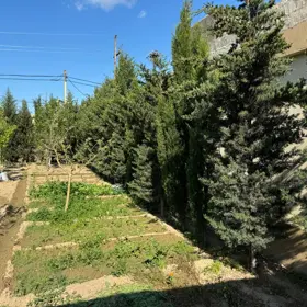 In Baku 120.0 m² house with 2.0 rooms is for rent