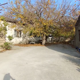 Baku-da 8.0 otaqlı 150.0 m2 bağ satılır