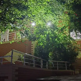 Baku-da 5.0 otaqlı 200.0 m2 bağ satılır - Şəkil 3