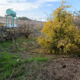 In Baku nan acre land is for sale - Image 2