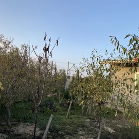 In Baku 500.0 m² house with 2.0 rooms is for sale - Image 3