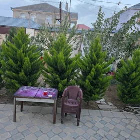 In Baku 100.0 m² house with 3.0 rooms is for sale - Image 5