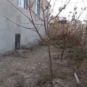 In Baku 110.0 m² house with 3.0 rooms is for sale - Image 4