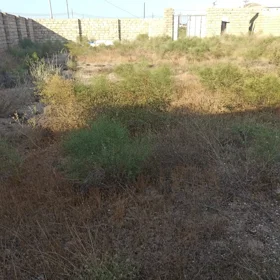 In Baku nan acre land is for sale - Image 2