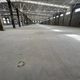 In Baku 6200.0 m² commercial is for rent - Image 2