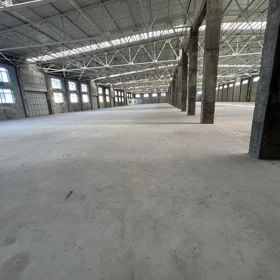 In Baku 6200.0 m² commercial is for rent - Image 3