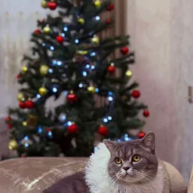 In Baku 130.0 m² apartment is for sale - Image 4