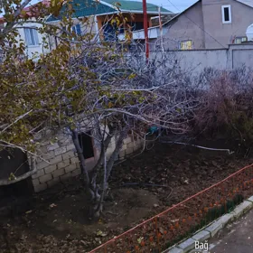 In Baku 350.0 m² house with 6.0 rooms is for sale - Image 4