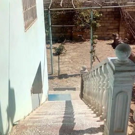 In Baku 1100.0 m² house with 4.0 rooms is for sale - Image 4