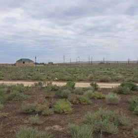 In Shirvan nan acre land is for sale - Image 3