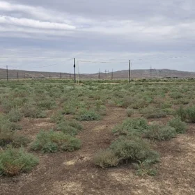 In Shirvan nan acre land is for sale - Image 5