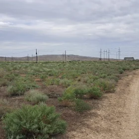 In Shirvan nan acre land is for sale - Image 4