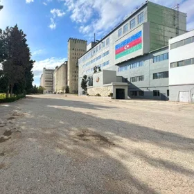 In Baku 1000.0 m² commercial is for rent - Image 2