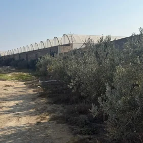 In Baku 220.0 m² commercial is for sale - Image 4