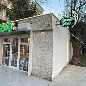 In Baku 20.0 m² commercial is for rent - Image 5