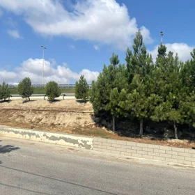 In Baku nan acre land is for sale - Image 3