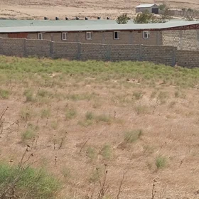 In Baku nan acre land is for sale - Image 2