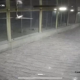 In Baku 180.0 m² commercial is for rent - Изображение 5