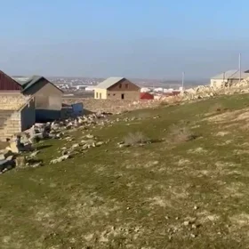 In nan nan acre land is for sale - Image 3