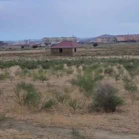 In Baku nan acre land is for sale - Image 3