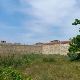 In Baku nan acre land is for sale - Image 2