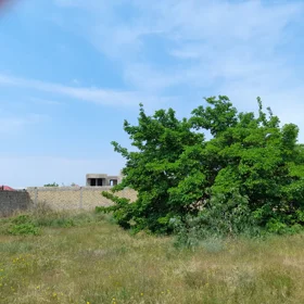 In Baku nan acre land is for sale - Image 3