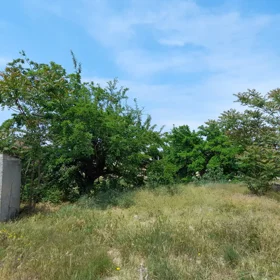 In Baku nan acre land is for sale - Image 4