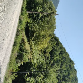 In Baku 20.0 m² office is for rent - Image 3