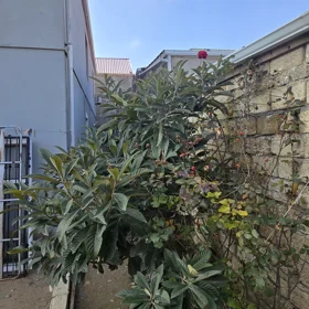 In Baku 300.0 m² house with 8.0 rooms is for sale - Image 2