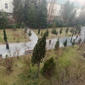 In Baku 64000.0 m² apartment is for sale - Image 5