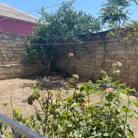 In Baku 300.0 m² house with 7.0 rooms is for sale - Image 2