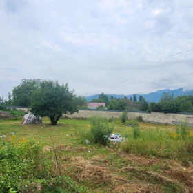 In Gabala nan acre land is for sale - Image 3