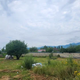 In Gabala nan acre land is for sale - Image 4