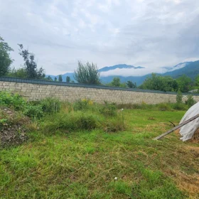In Gabala nan acre land is for sale - Image 6