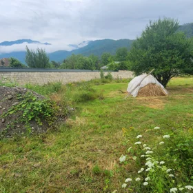 In Gabala nan acre land is for sale - Image 7