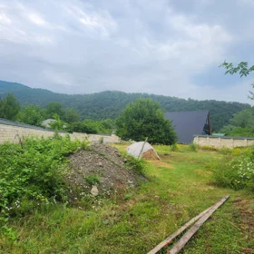 In Gabala nan acre land is for sale - Image 8