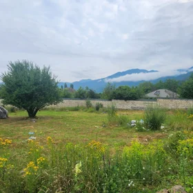 In Gabala nan acre land is for sale - Image 9