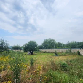In Gabala nan acre land is for sale - Image 10