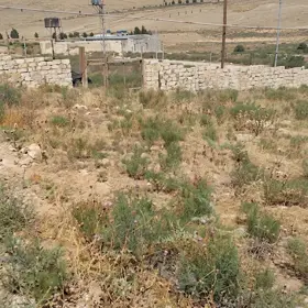 In nan nan acre land is for sale - Image 6