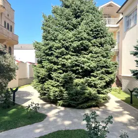 In Baku 600.0 m² house with 8.0 rooms is for sale - Image 3