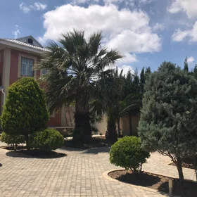 In nan 160.0 m² house with 4.0 rooms is for rent - Image 7