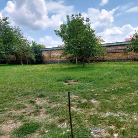 In Gabala nan acre land is for sale - Image 5