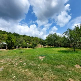 In Gabala nan acre land is for sale - Image 6