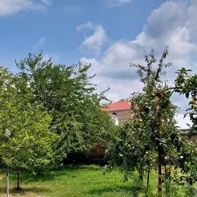 In Gabala nan acre land is for sale - Image 7