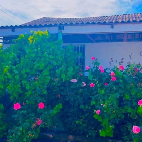 In nan 100.0 m² house with 5.0 rooms is for rent - Image 3