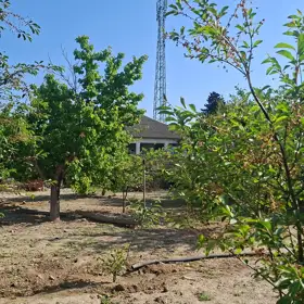 In Xəzər rayonu 150.0 m² house with 3.0 rooms is for sale - Image 2