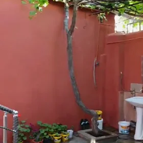 In Suraxanı rayonu 75.0 m² house with 3.0 rooms is for sale - Image 8
