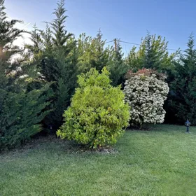 In nan 450.0 m² house with 5.0 rooms is for sale - Image 8