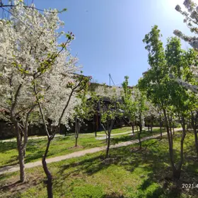 In Baku nan acre land is for sale - Image 2